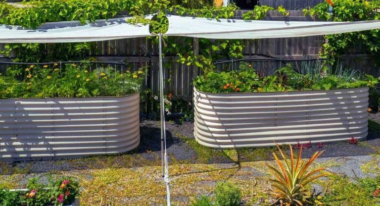 Deux bacs potagers en métal protégés du soleil par une voile d'ombrage blanche tendue